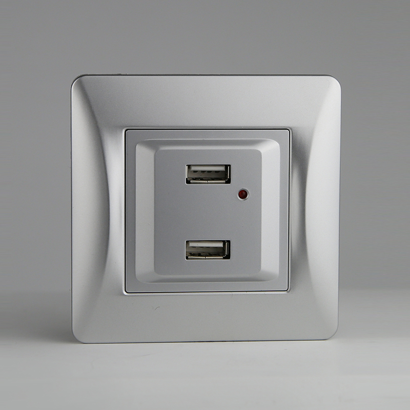 Розетка 2xUSB A, 125-250V (серебристый) 0