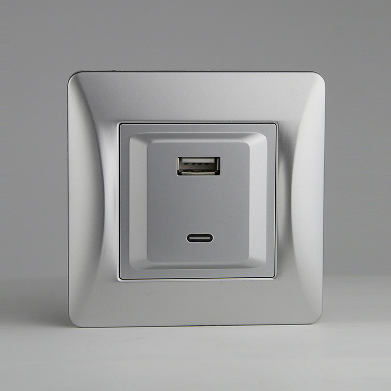 Розетка 2xUSB A/C, 125-250V (серебристый) 0