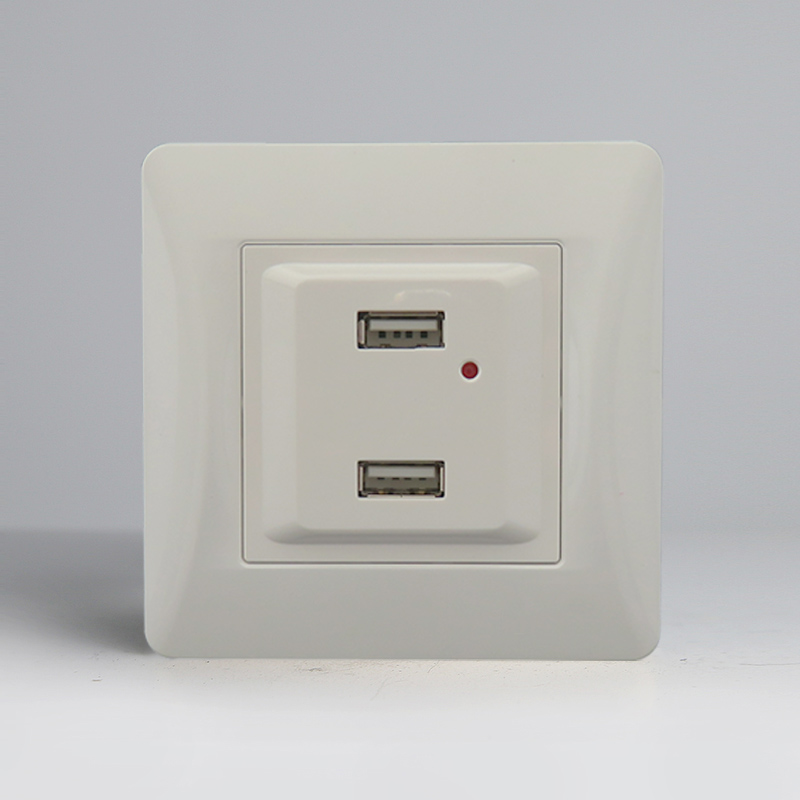 Розетка 2xUSB A, 125-250V (белый) 0